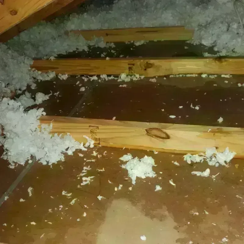 Attic Water Damage in Falls Creek, PA